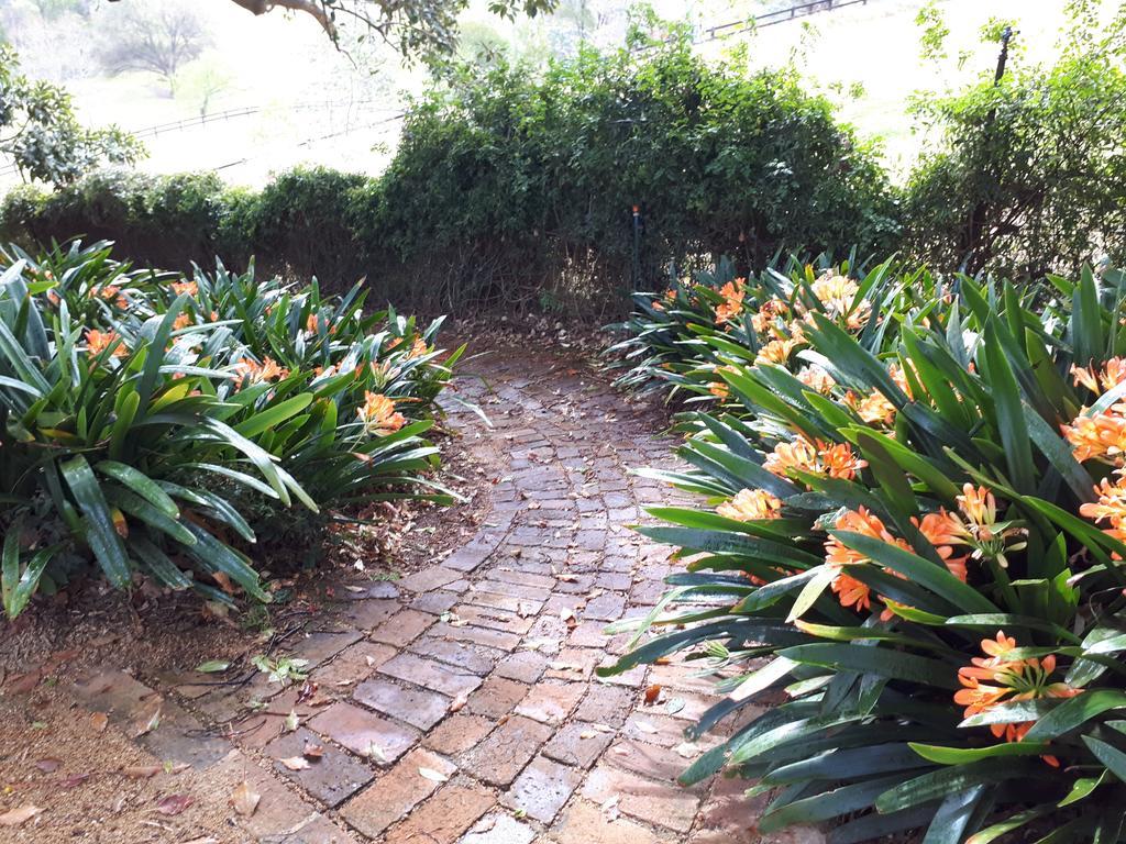 Plynlimmon-1860 Heritage Cottage Or Double Room With Orchard ViewKurrajong エクステリア 写真
