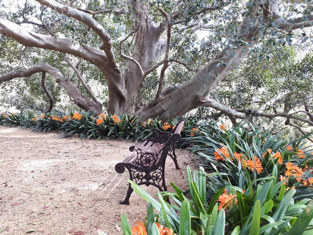 Plynlimmon-1860 Heritage Cottage Or Double Room With Orchard ViewKurrajong エクステリア 写真